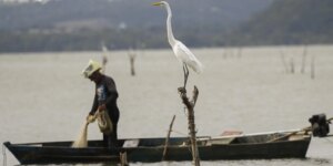 Novas Regras para o Seguro-Defeso: Garantias e Combate às Fraudes