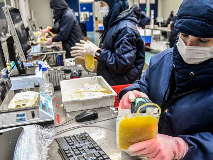 Dia Mundial da Hemofilia: A Importância do Diagnóstico na Luta contra Distúrbios Hemorrágicos