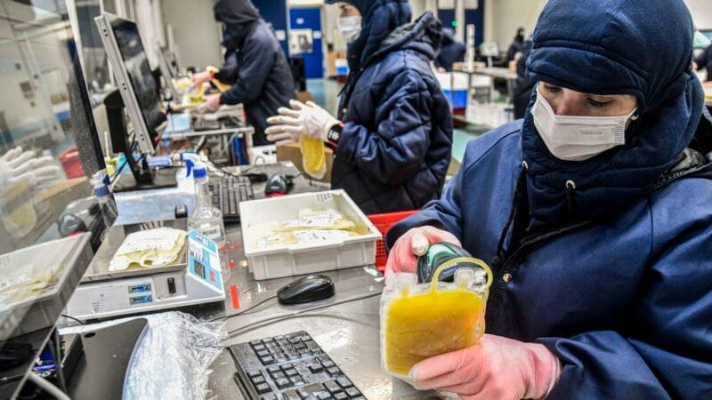 Dia Mundial da Hemofilia: A Importância do Diagnóstico na Luta contra Distúrbios Hemorrágicos