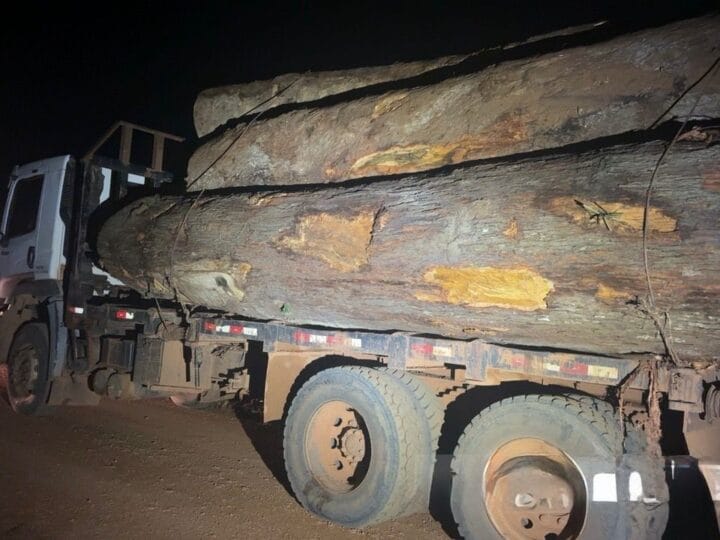 Apreensão de Caminhões com Madeira Ilegal em Porto Velho: Ação da Polícia Militar