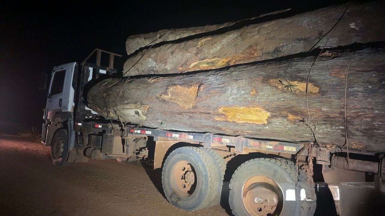 Apreensão de Caminhões com Madeira Ilegal em Porto Velho: Ação da Polícia Militar