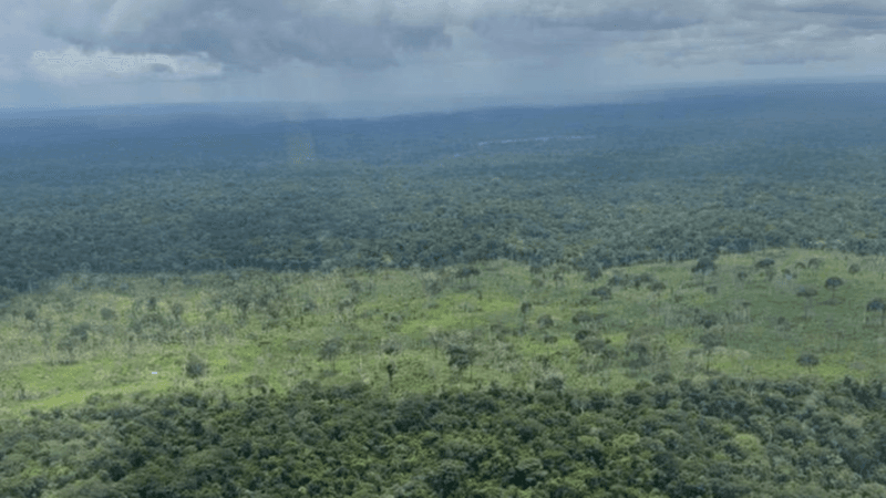 Desmatamento no Acre: Três Cidades Entre as Mais Afetadas no Início de 2026