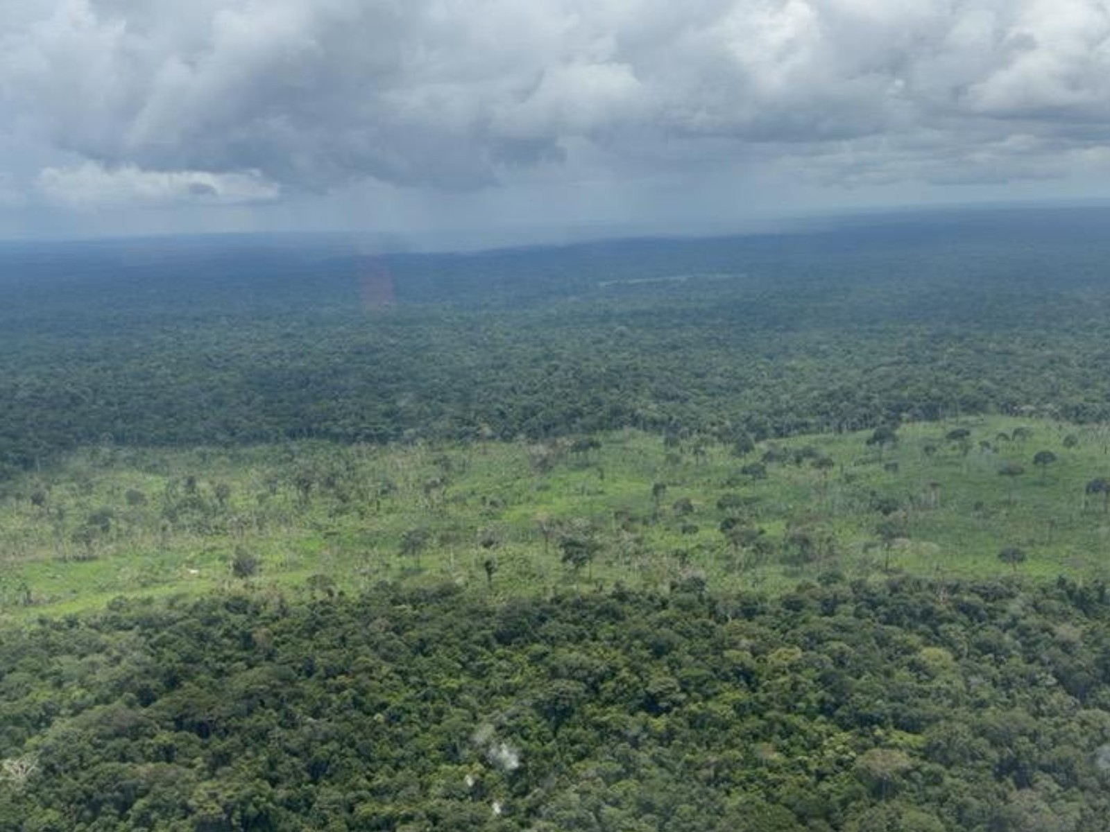 Desmatamento no Acre: Três Cidades Entre as Mais Afetadas no Início de 2026