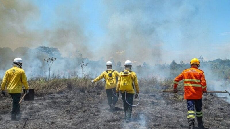 Seleção de Brigadistas Comunitários no Acre: 100 Vagas Disponíveis para Combate a Incêndios
