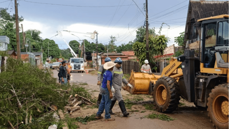 Impactos das Chuvas e Ventos no Acre: Queda de Árvores e Aumento do Nível dos Rios