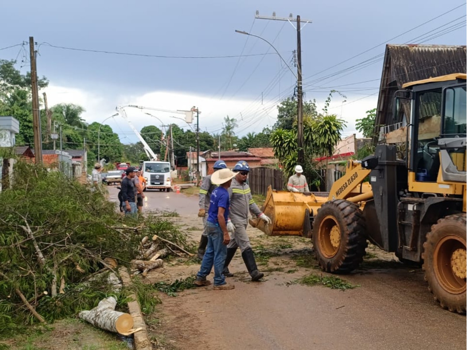 Impactos das Chuvas e Ventos no Acre: Queda de Árvores e Aumento do Nível dos Rios