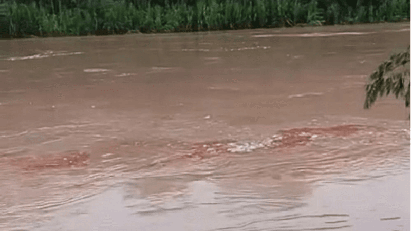 Derramamento de Óleo Diesel no Rio Tarauacá: Impactos e Respostas das Autoridades