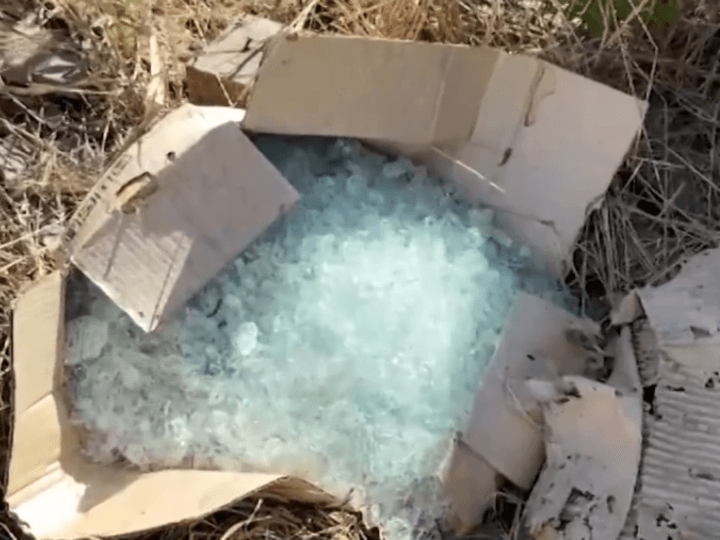 Tragédia em Gurupi: Jovem Morre Após Acidente com Linha Cortante