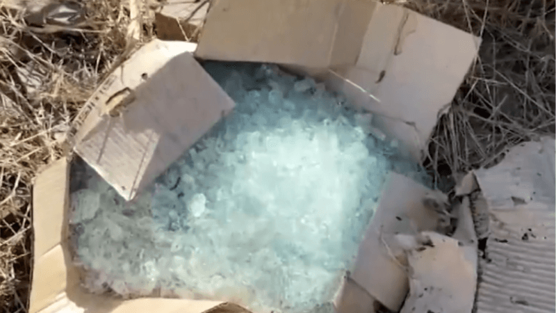 Tragédia em Gurupi: Jovem Morre Após Acidente com Linha Cortante