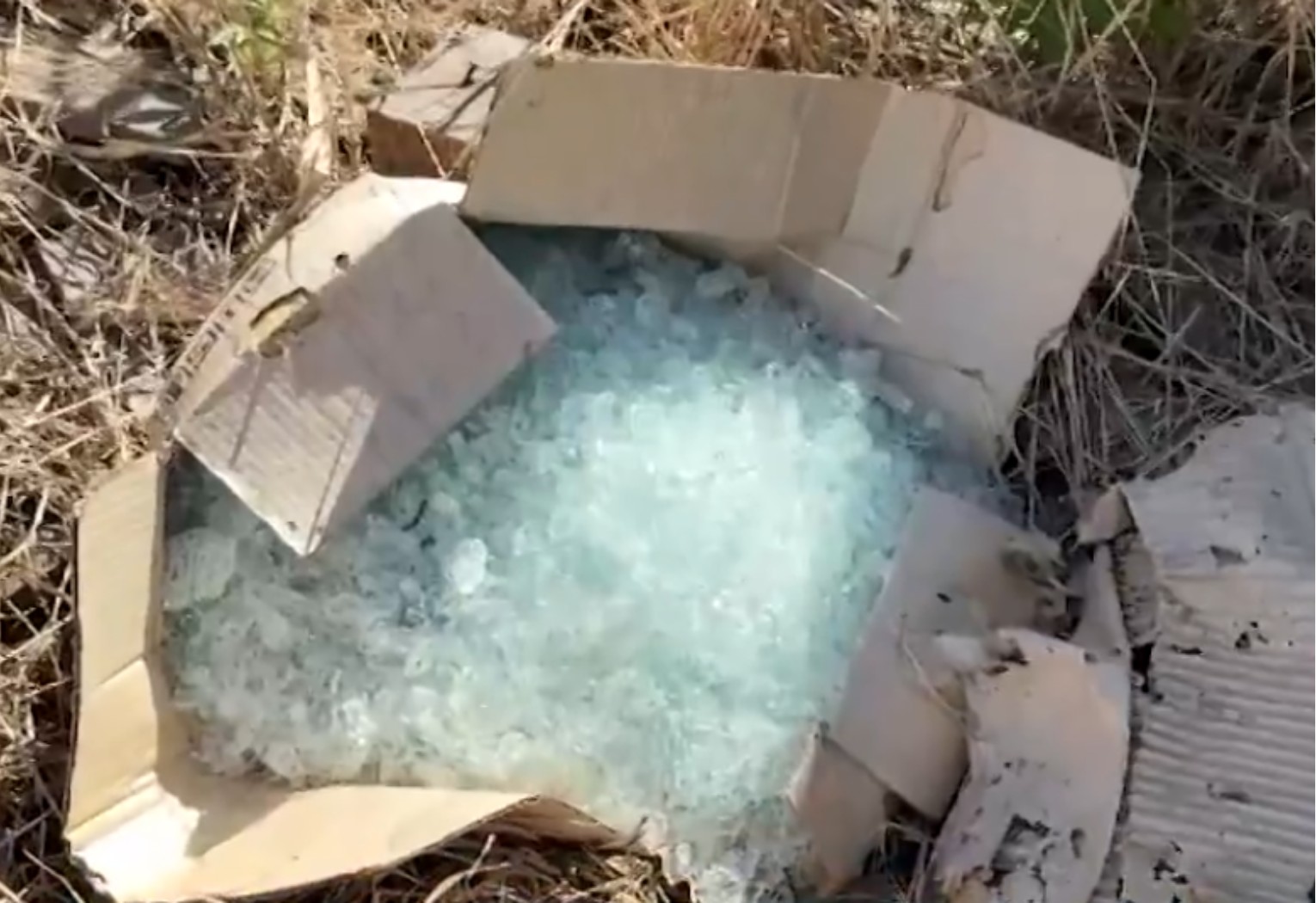 Tragédia em Gurupi: Jovem Morre Após Acidente com Linha Cortante