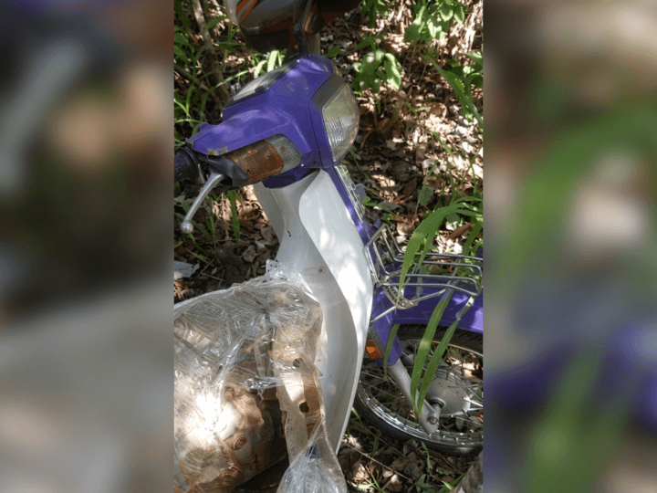 Corpo de Comerciante Desaparecido é Encontrado em Fossa no Tocantins