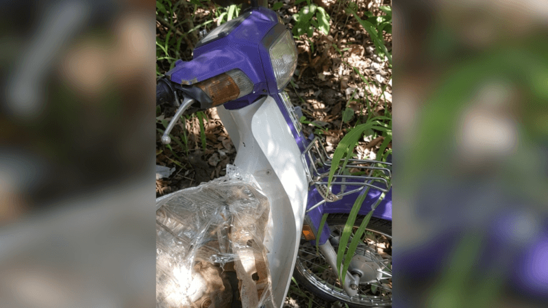 Corpo de Comerciante Desaparecido é Encontrado em Fossa no Tocantins