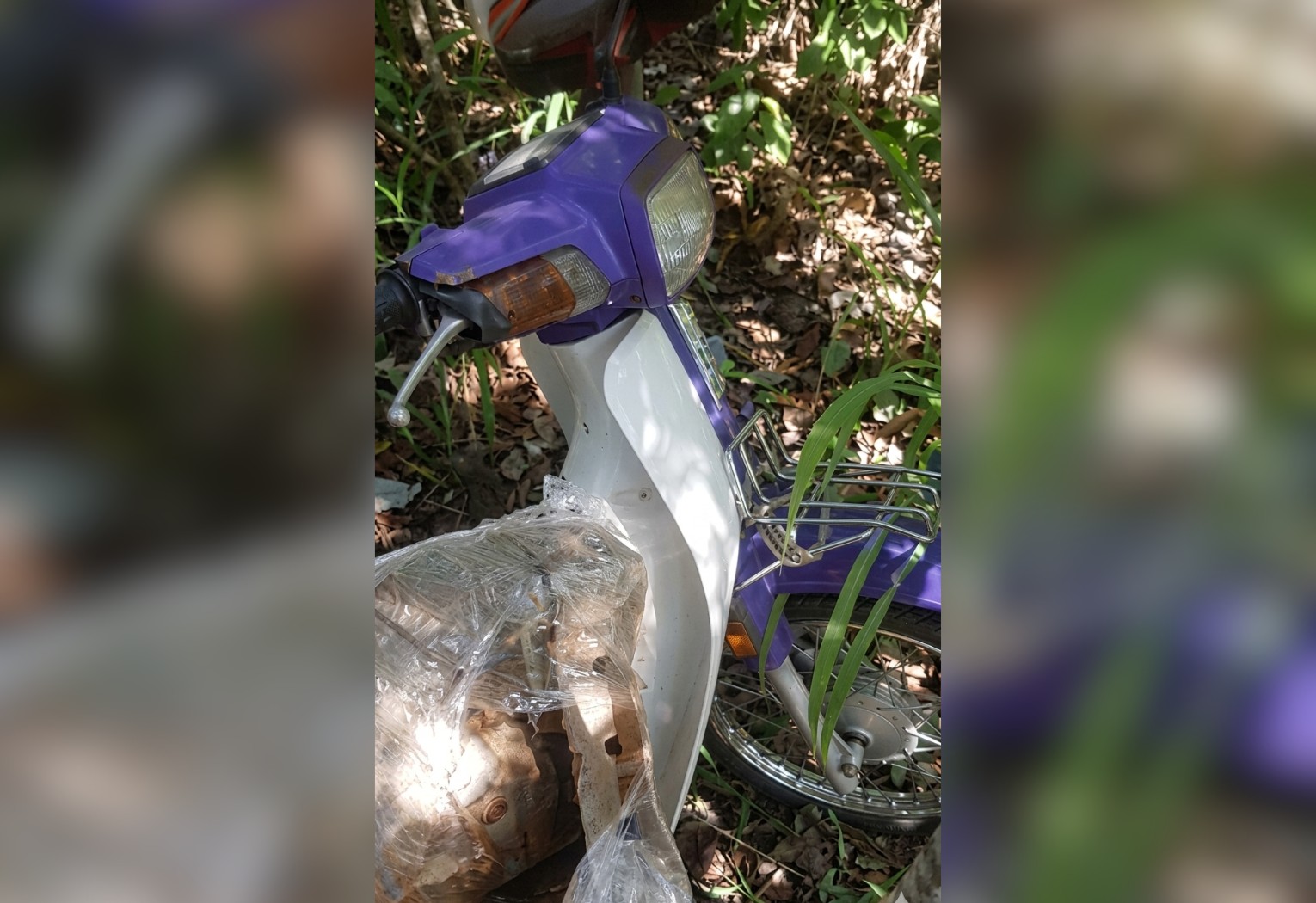 Corpo de Comerciante Desaparecido é Encontrado em Fossa no Tocantins
