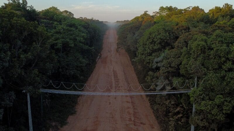 Suspensão das Licitações para Obras na BR-319: Implicações e Reações