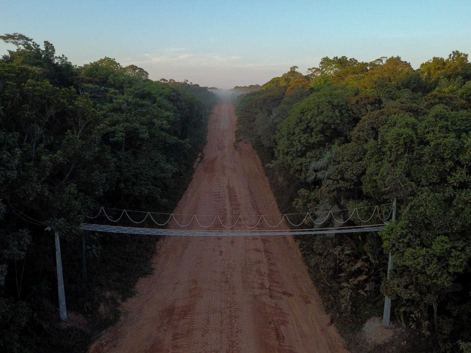 Suspensão das Licitações para Obras na BR-319: Implicações e Reações