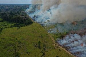 Acre Registra Quatro Focos de Queimadas no Início de 2026, Segundo Inpe