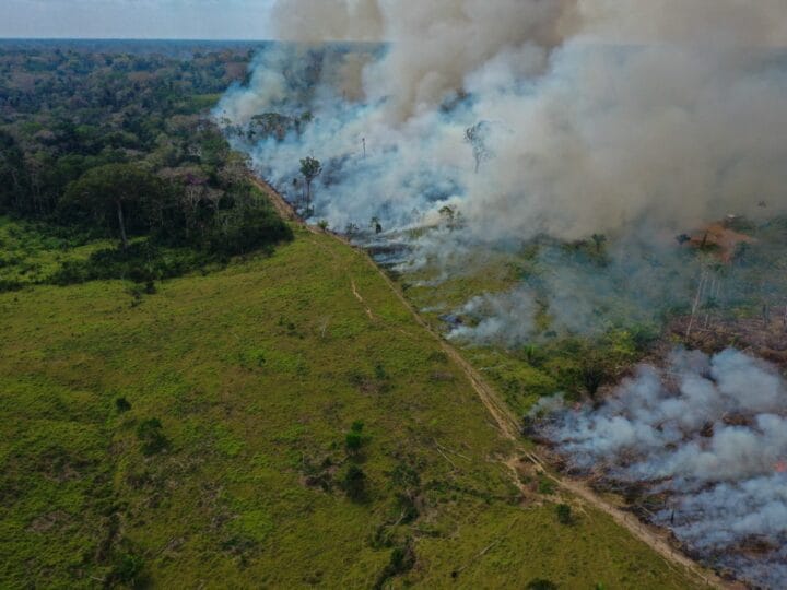 Acre Registra Quatro Focos de Queimadas no Início de 2026, Segundo Inpe