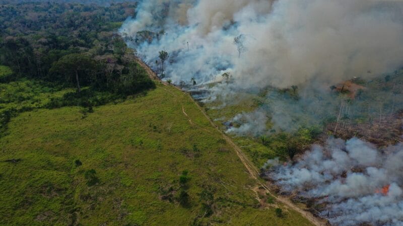 Acre Registra Quatro Focos de Queimadas no Início de 2026, Segundo Inpe