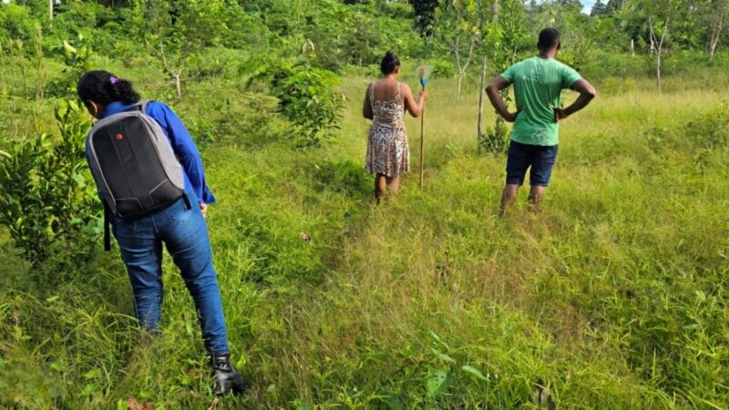Comunidades Quilombolas de Oriximiná Avançam na Produção Sustentável de Alimentos