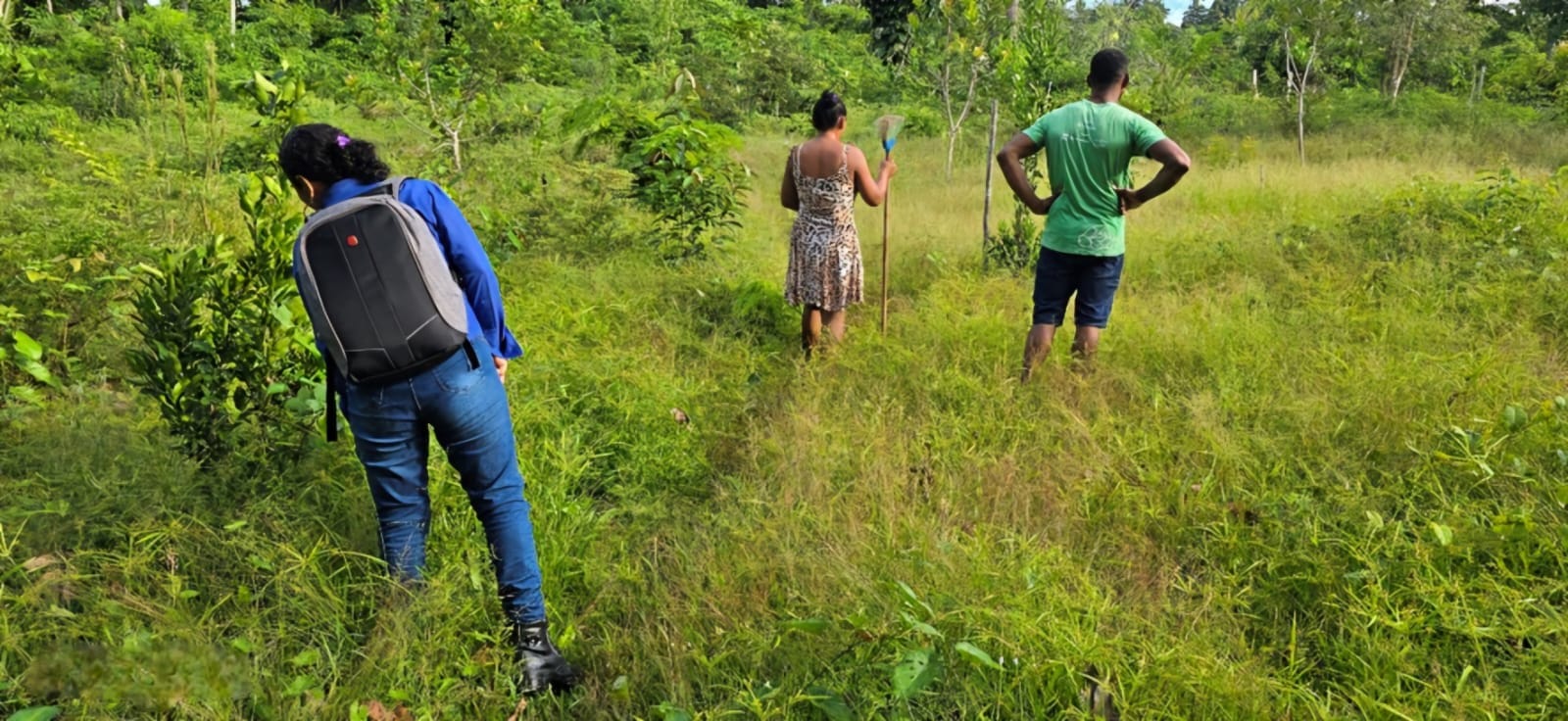 Comunidades Quilombolas de Oriximiná Avançam na Produção Sustentável de Alimentos
