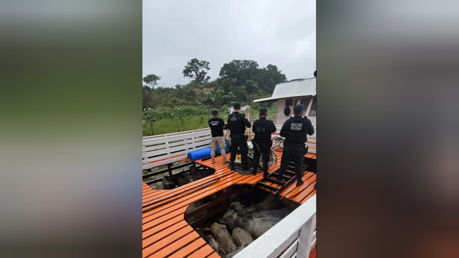 Apreensões Milionárias da Sefa no Oeste do Pará: Combate ao Contrabando e Irregularidades Fiscais