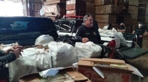 Destruição de Drogas: Operação Conjunta Apreende e Incinera 700 kg no Pará