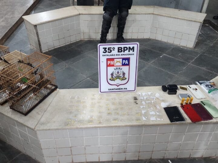 Jovem é Detido em Santarém com Drogas, Armas e Animais Silvestres