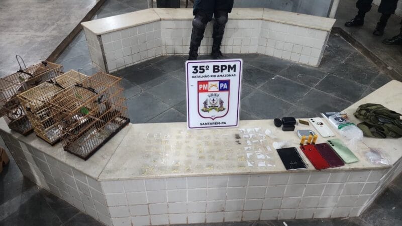 Jovem é Detido em Santarém com Drogas, Armas e Animais Silvestres