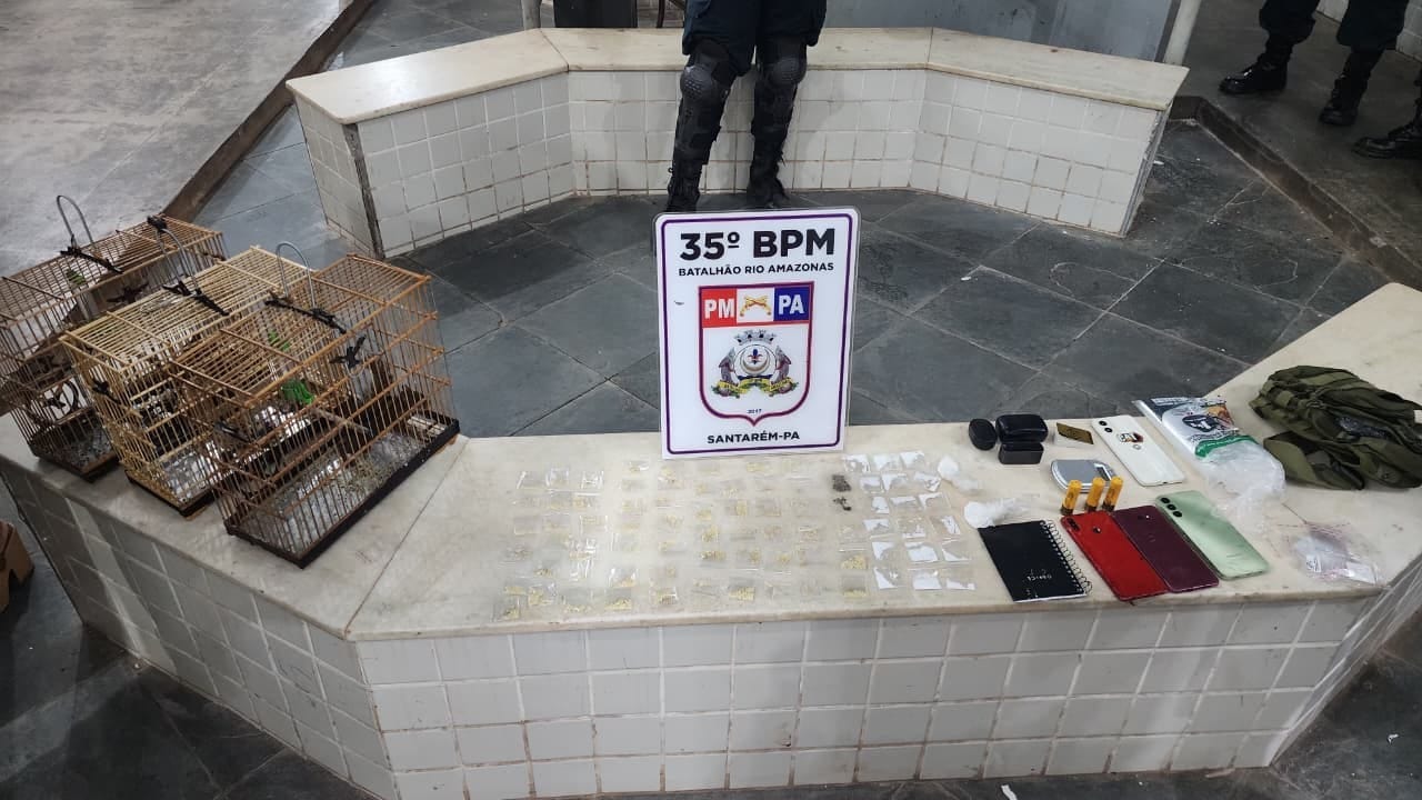 Jovem é Detido em Santarém com Drogas, Armas e Animais Silvestres