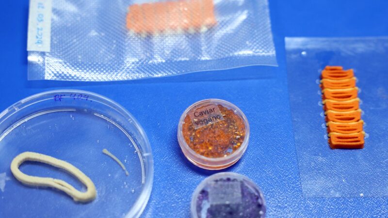 Embrapa Inova com Alimentos Impressos em 3D: Salmão, Caviar e Anéis de Lula Veganos