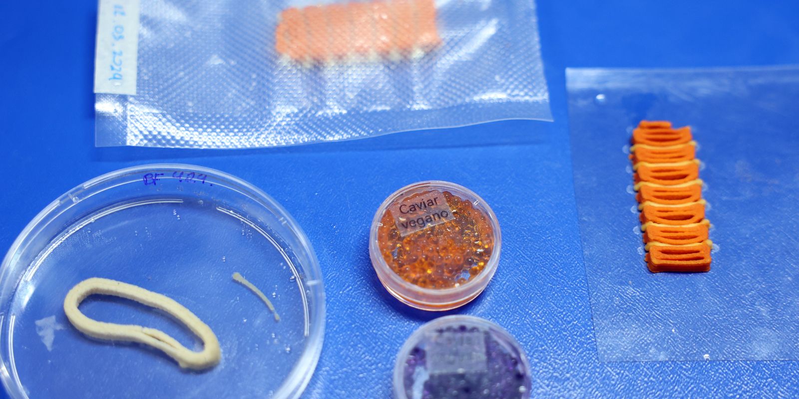Embrapa Inova com Alimentos Impressos em 3D: Salmão, Caviar e Anéis de Lula Veganos