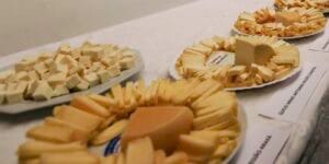 Brasil Inicia Importação de Queijo com Tarifas Reduzidas Após Acordo Mercosul-UE