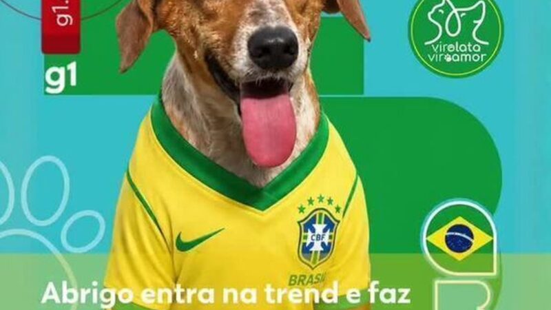Abrigo Vira Lata Vira Amor Lança Campanha de Adoção em Rondônia
