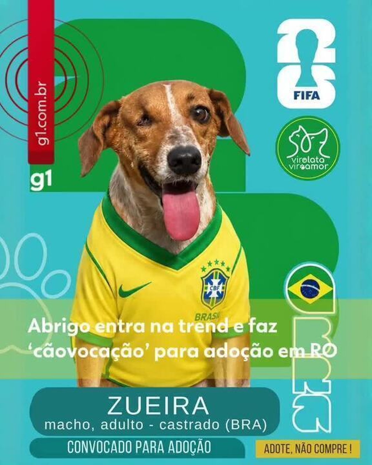 Abrigo Vira Lata Vira Amor Lança Campanha de Adoção em Rondônia