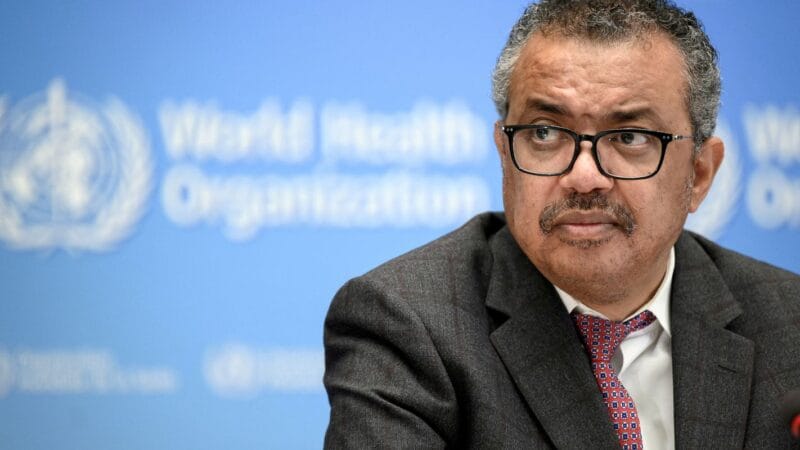 OMS descarta possibilidade de surto de hantavírus após casos em navio de cruzeiro