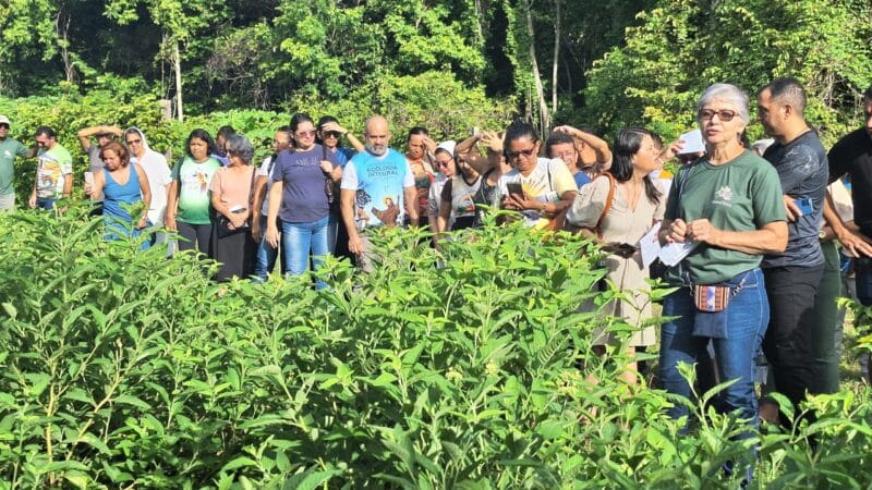 Aprovação de Projeto para Uso Seguro de Plantas Medicinais no SUS