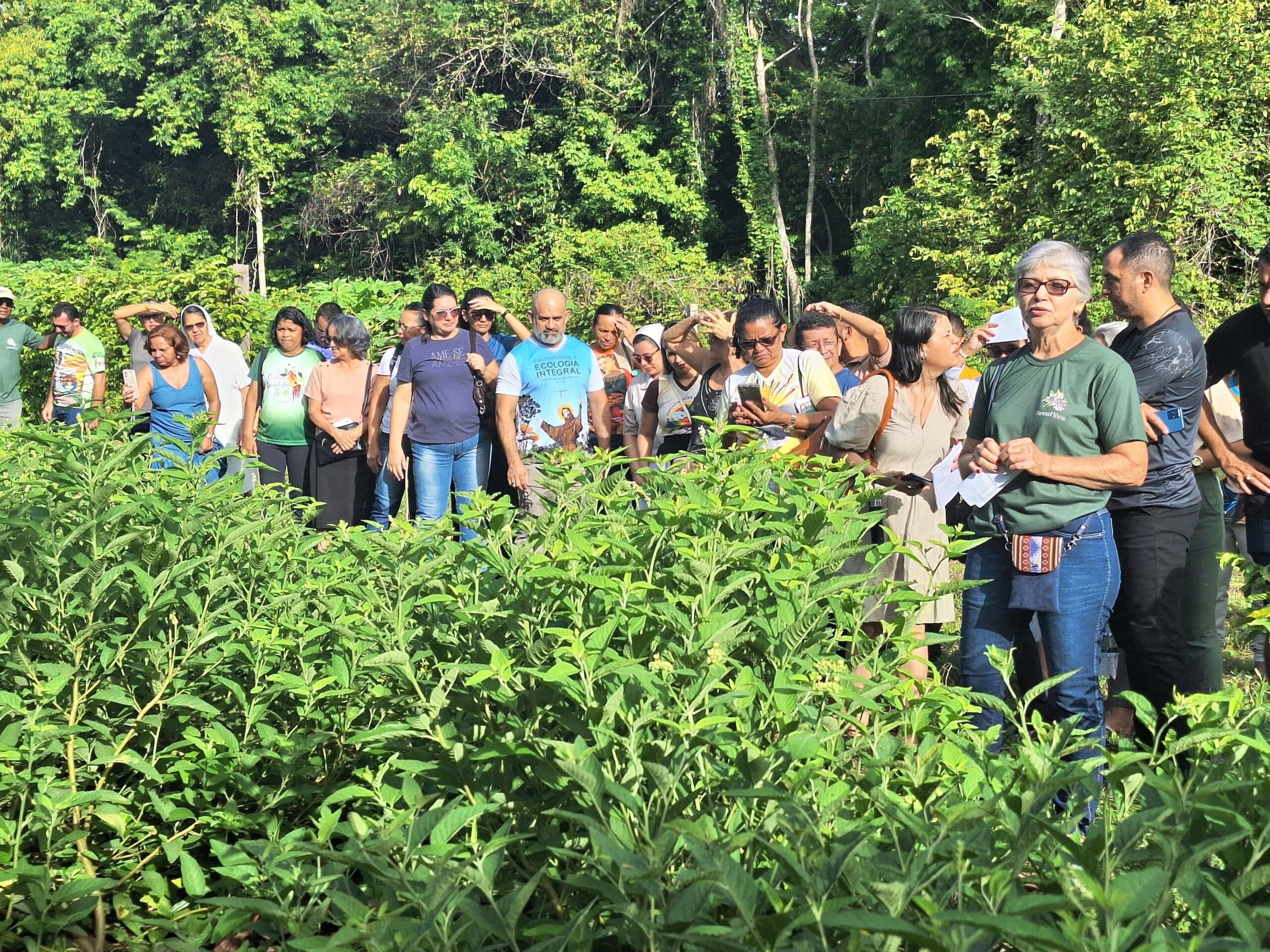 Aprovação de Projeto para Uso Seguro de Plantas Medicinais no SUS