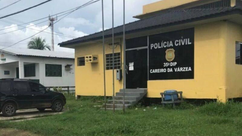 Mulher é Detida por Fraudes a Idosos no Amazonas se Passando por Advogada