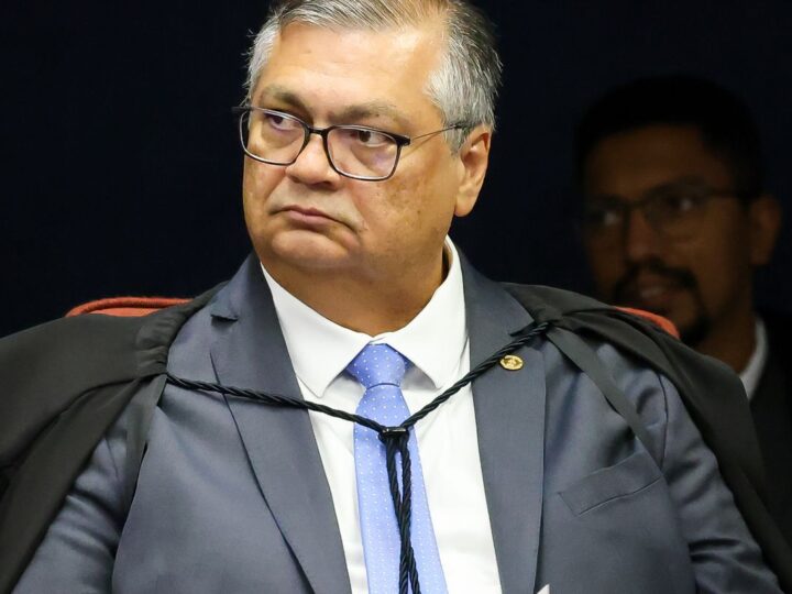 Ministro Flávio Dino Estabelece Prazo para Ações contra Incêndios na Amazônia