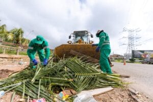 Coleta de Entulho em Belém: Calendário de Maio e Alternativas de Descarte
