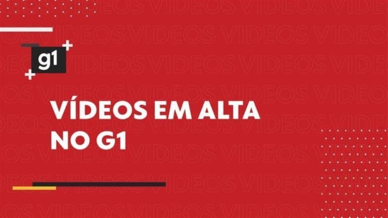 Alerta de Raiva Animal no Amazonas: Novo Caso em Presidente Figueiredo