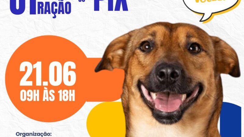 Rotary Pet Day 2026: Uma Celebração de Bem-Estar Animal e Inclusão Social em Guarulhos