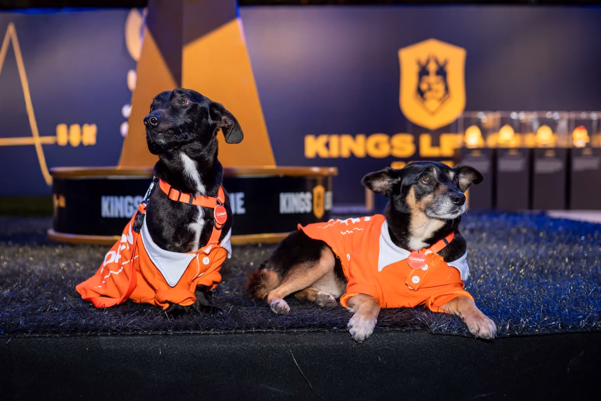 GoldeN Promove Adoção de Animais na Final da Kings League Brasil e Realiza Doação de Alimentos