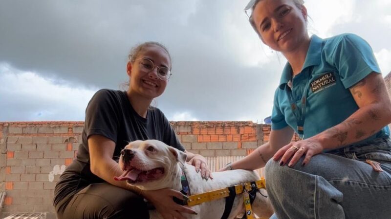 Adoção de Pets com Deficiência: Desafios e Conquistas em um Cenário de Rejeição