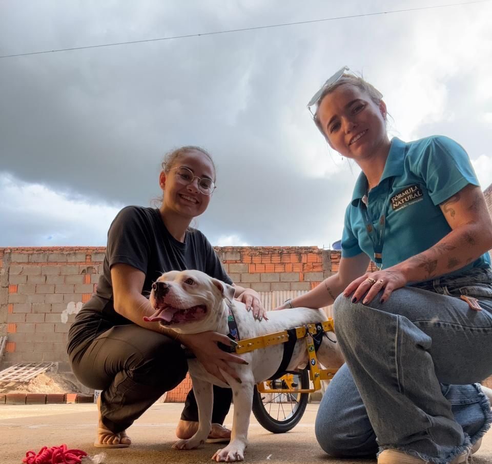Adoção de Pets com Deficiência: Desafios e Conquistas em um Cenário de Rejeição