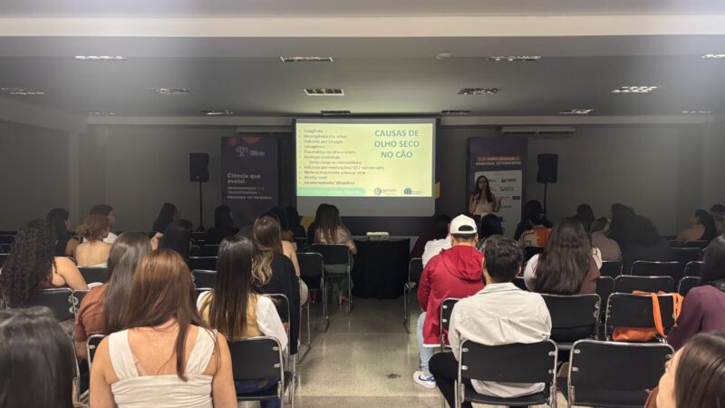 Ceratoconjuntivite Seca em Cães: Diagnóstico e Relações com Otite