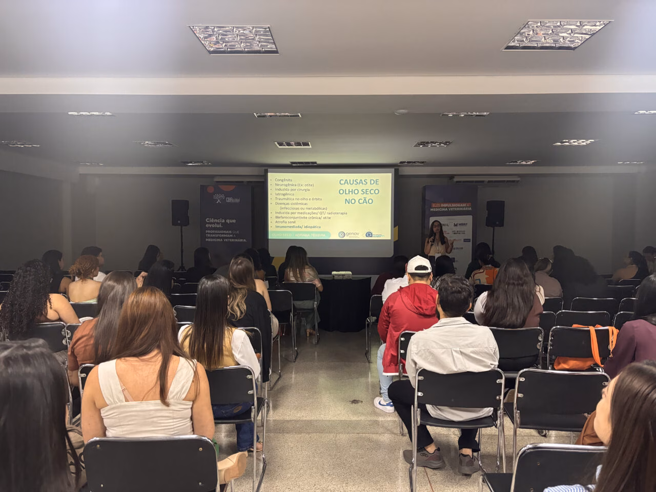 Ceratoconjuntivite Seca em Cães: Diagnóstico e Relações com Otite