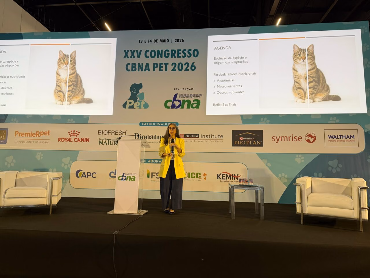 Desafios na Nutrição de Gatos: Perspectivas e Soluções no Mercado Pet