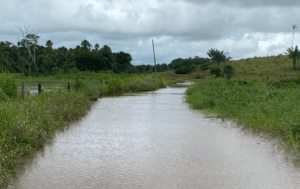 Mucajaí Declara Emergência Devido a Chuvas Intensificadas em Roraima