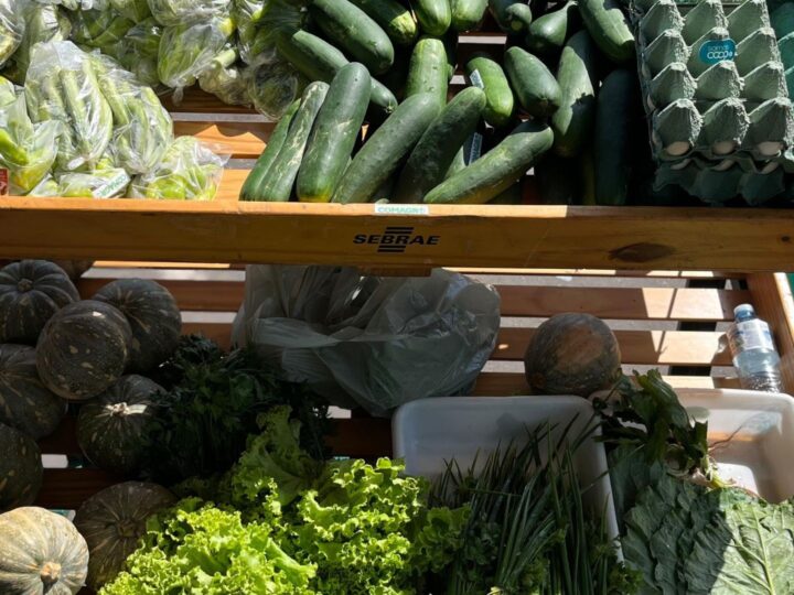 Feira Tucuju da Agricultura Familiar Atraí Produtores e Consumidores em Macapá